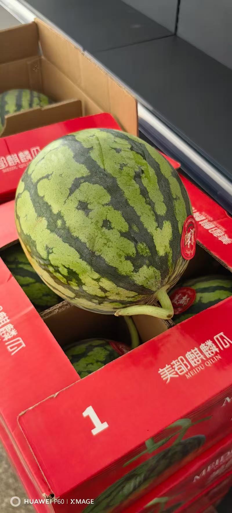 美都西瓜台农无籽美都西瓜无籽麒麟西瓜台农种植