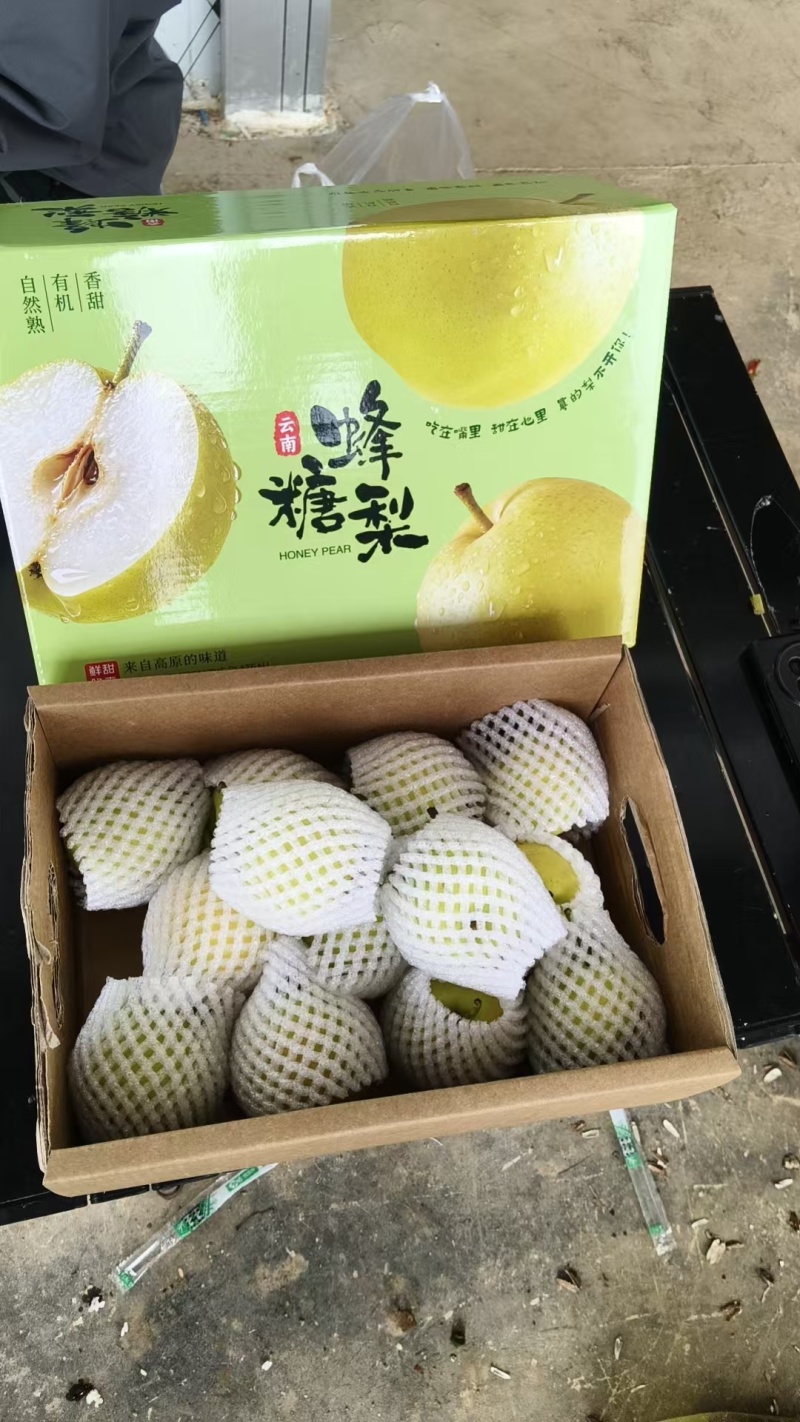 丁香梨🍐早白蜜梨精品蜜梨几十万斤品质保障先到先得对接