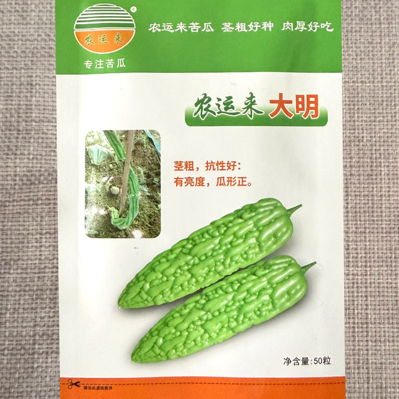 大明苦瓜种子茎粗抗性好耐热中早衰瓜条丰满刺溜圆正基地用