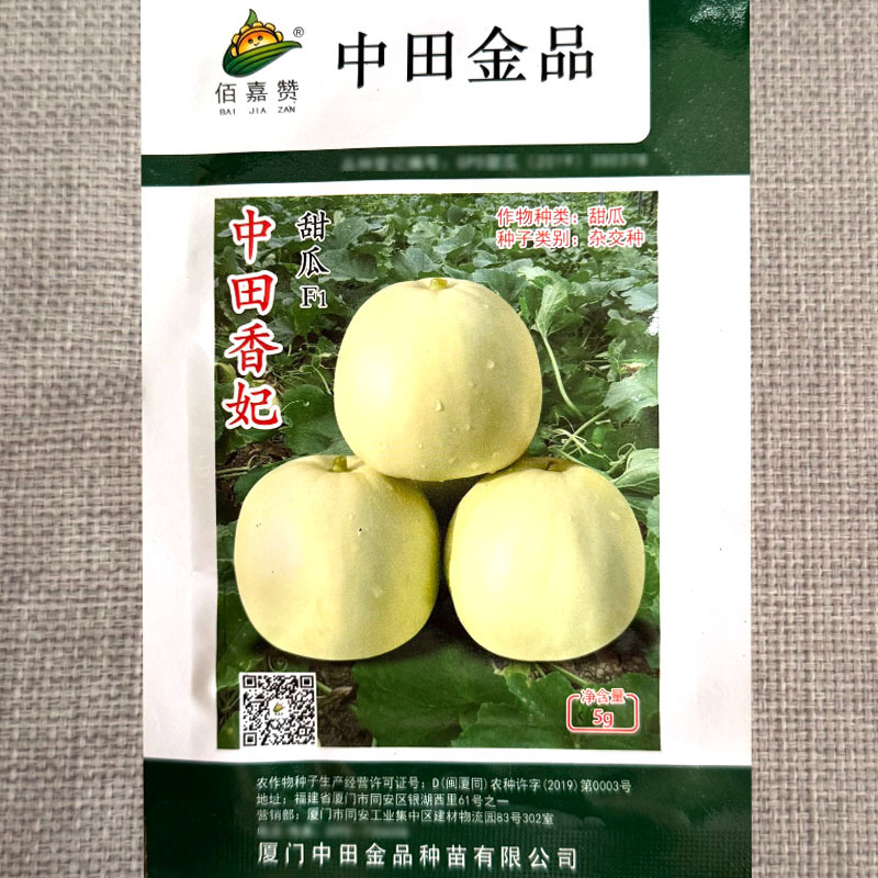 中田金品香妃田瓜种子薄皮甜瓜种子甜度高耐湿热早熟高产耐裂