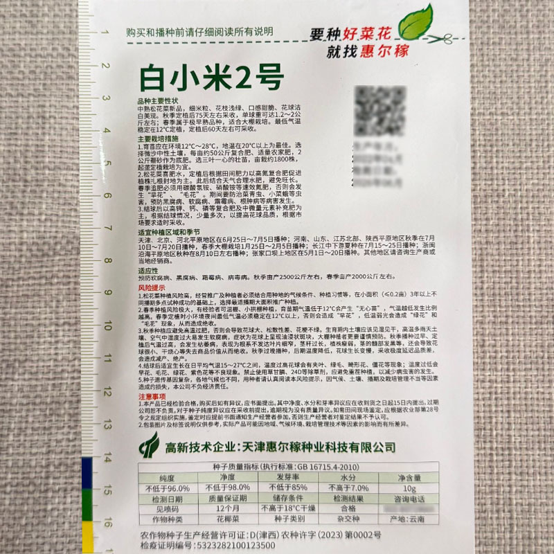 白小米2号松花菜种子中熟细米粒口感甜脆花球洁白抗病高产