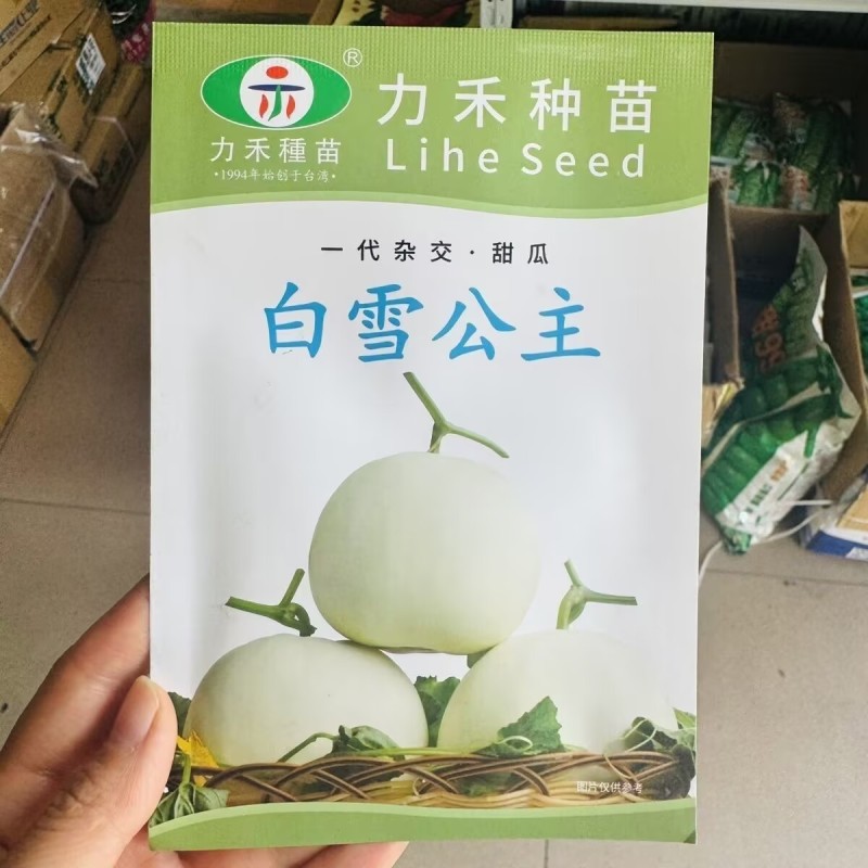 白雪公主甜瓜种子白皮白绿肉甜度高香味细腻浓香抗病高产