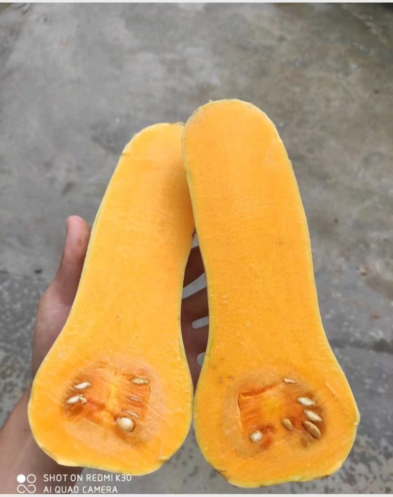 奶油南瓜，汉中阿根廷奶油南瓜陕西南瓜，一手货源，欢迎联系