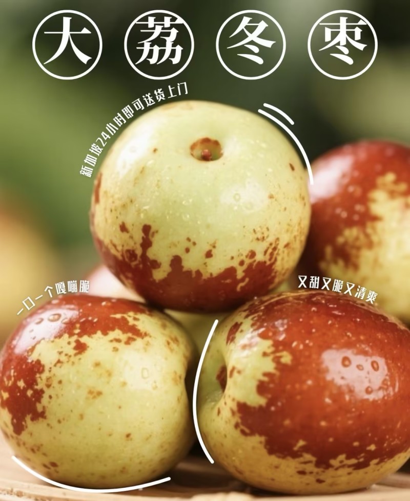 《陕西大荔冬枣》冬枣/电商团购/一件代发抖音快手拼多多
