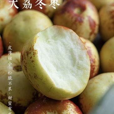 《陕西大荔冬枣》冬枣/电商团购/一件代发抖音快手拼多多