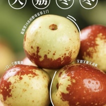 一件代发大荔冬枣鲜枣对接各大电商平台日发万单中介对接搞起