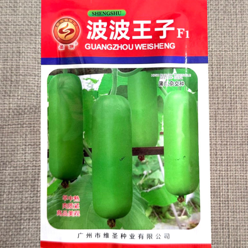 波波王子蒲瓜种子早中熟肉质紧皮色油绿头尾匀称高产瓠瓜种子