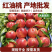 陕西油桃地头发货一手货源可视频看货保质保量