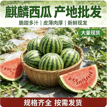 精品麒麟西瓜产地直发对接电商市场商超可视频看货