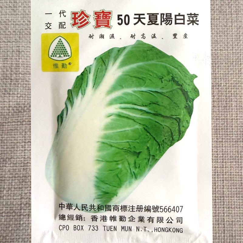 珍宝50天夏阳白菜种子抗病耐热耐湿夏播白菜种子大田基地种
