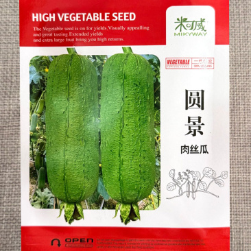 圆景肉丝瓜种子绿皮丝瓜青丝瓜圆筒型短棒丝瓜高产肉丝瓜种籽