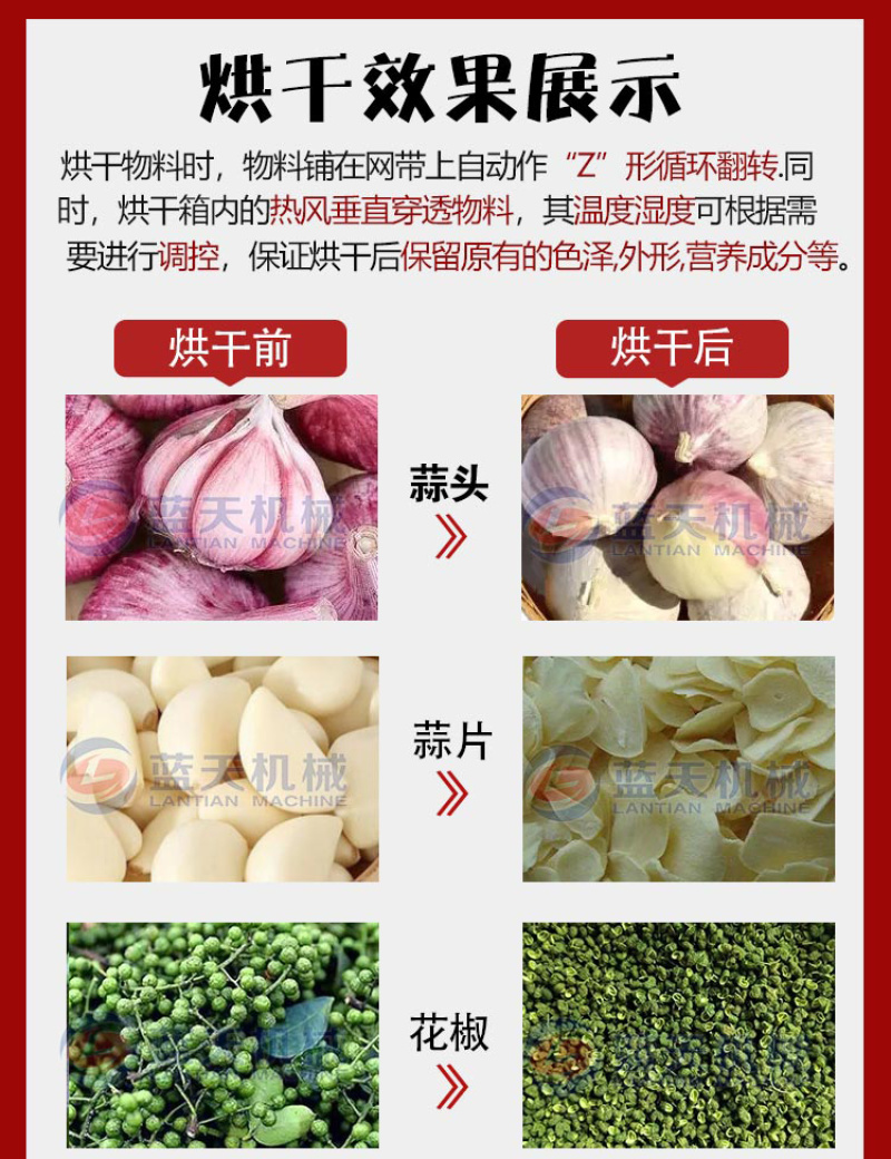 蒜片烘干机鲜蒜去皮清洗烘干磨粉流水线大蒜切片烘干设备