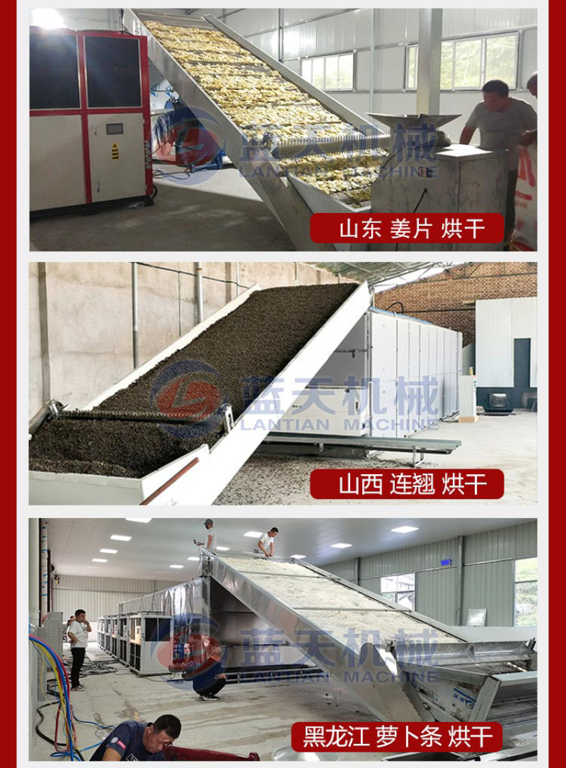 蒜片烘干机鲜蒜去皮清洗烘干磨粉流水线大蒜切片烘干设备