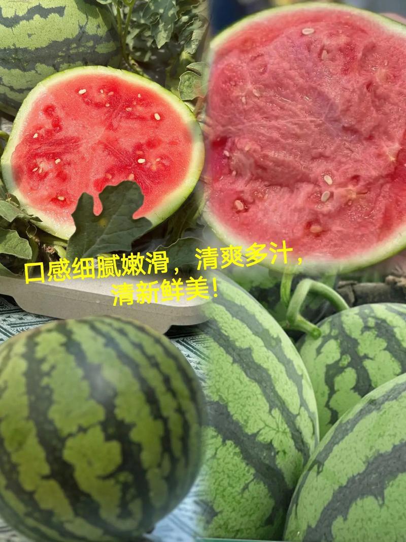 精品美都西瓜基地直发保熟保甜大量有货可视频看货