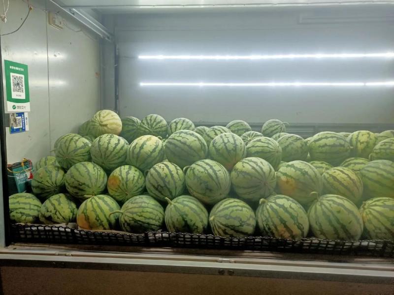 陕西西瓜精品麒麟西瓜保熟保甜对接电商市场商超