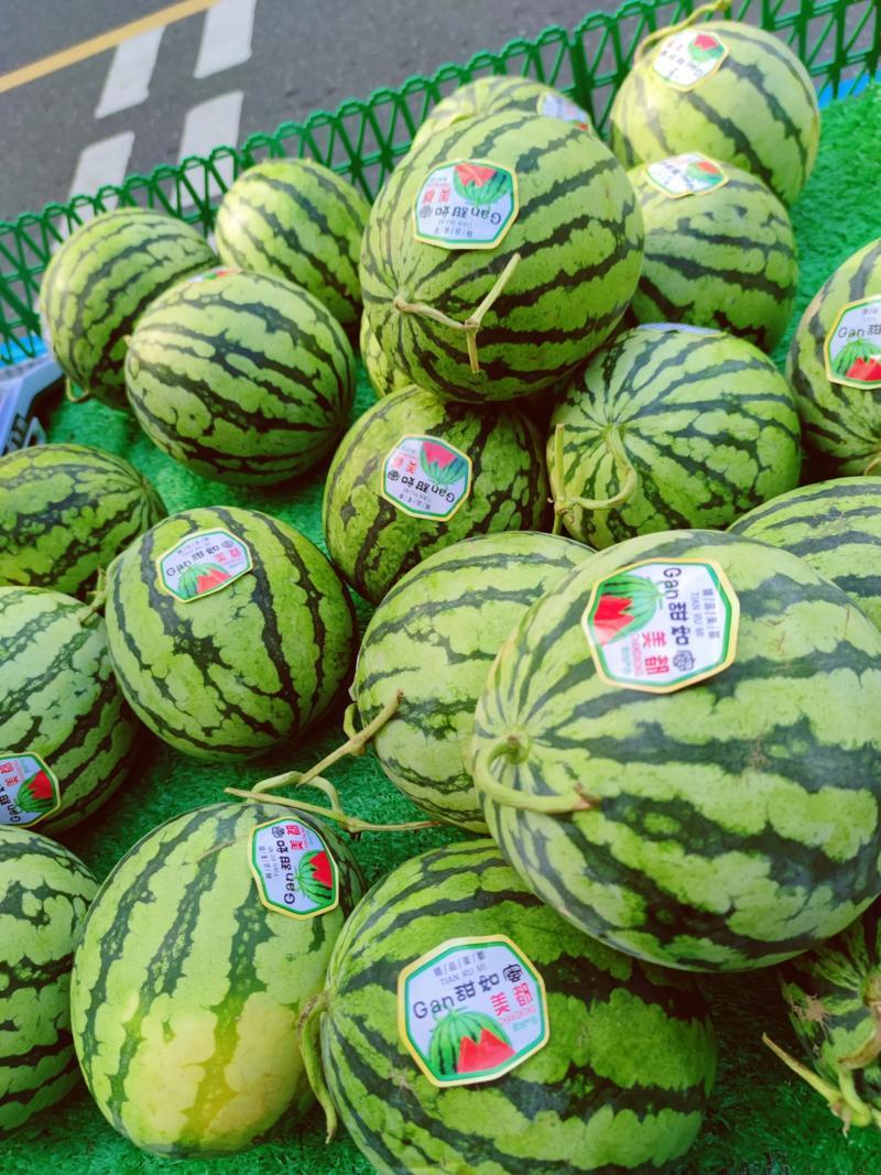 陕西西瓜精品美都西瓜对接电商市场商超可视频看货