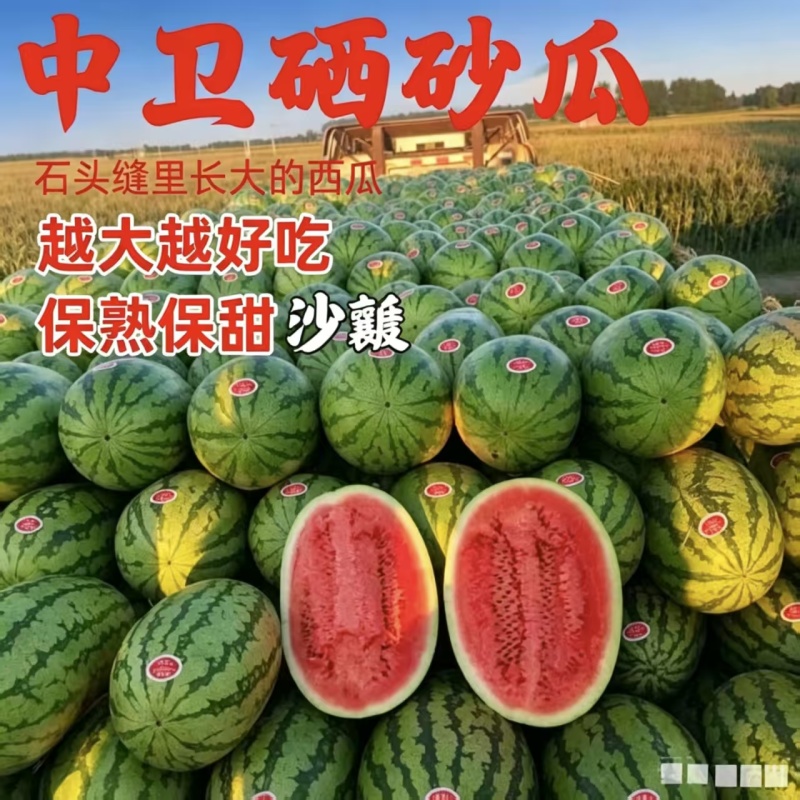 （硒砂瓜）宁夏中卫石头瓜丶产地直发整车批发大吨位供应