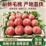 精品毛桃陕西毛桃品种多全基地直发大量有货可视频