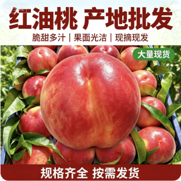 陕西油桃规格全品种多全国发货可视频看货保质量