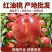 陕西油桃规格全品种多全国发货可视频看货保质量