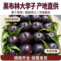 陕西大李子黑布林李子全国发货对接电商市场商超
