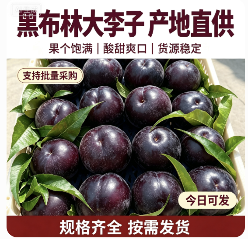 陕西大李子黑布林李子全国发货对接电商市场商超