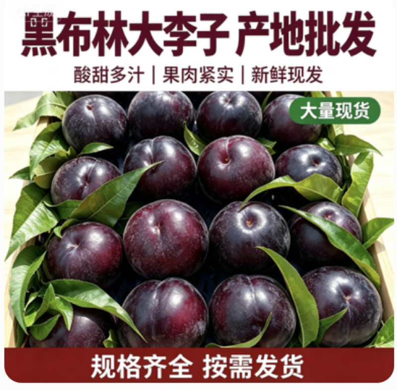 陕西李子黑布林李子基地直发对接电商市场商超