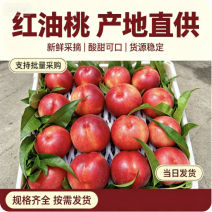 陕西油桃品种多规格全对接电商市场商超可视频看货
