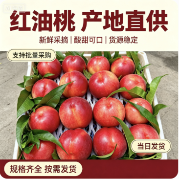 陕西油桃品种多规格全对接电商市场商超可视频看货