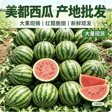 精品美都西瓜基地直发保熟保甜大量有货可视频看货