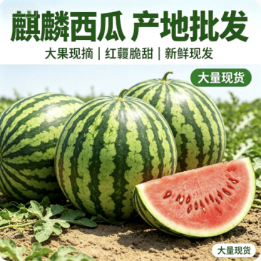 陕西西瓜精品麒麟西瓜保熟保甜对接电商市场商超