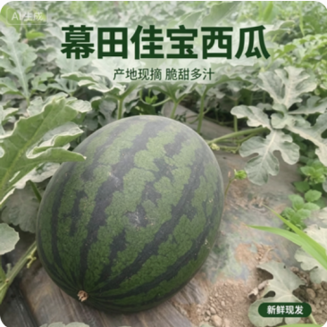陕西黑无籽幕田佳宝西瓜保熟保甜基地直发可视频看货