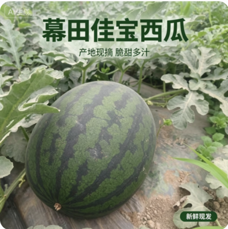 陕西黑无籽幕田佳宝西瓜保熟保甜基地直发可视频看货