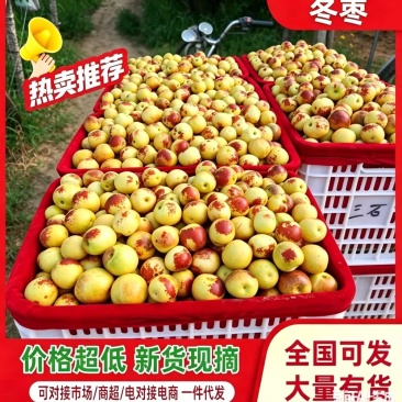 《正宗陕西大荔冬枣》对接电商平台/社区团购/多多仓库