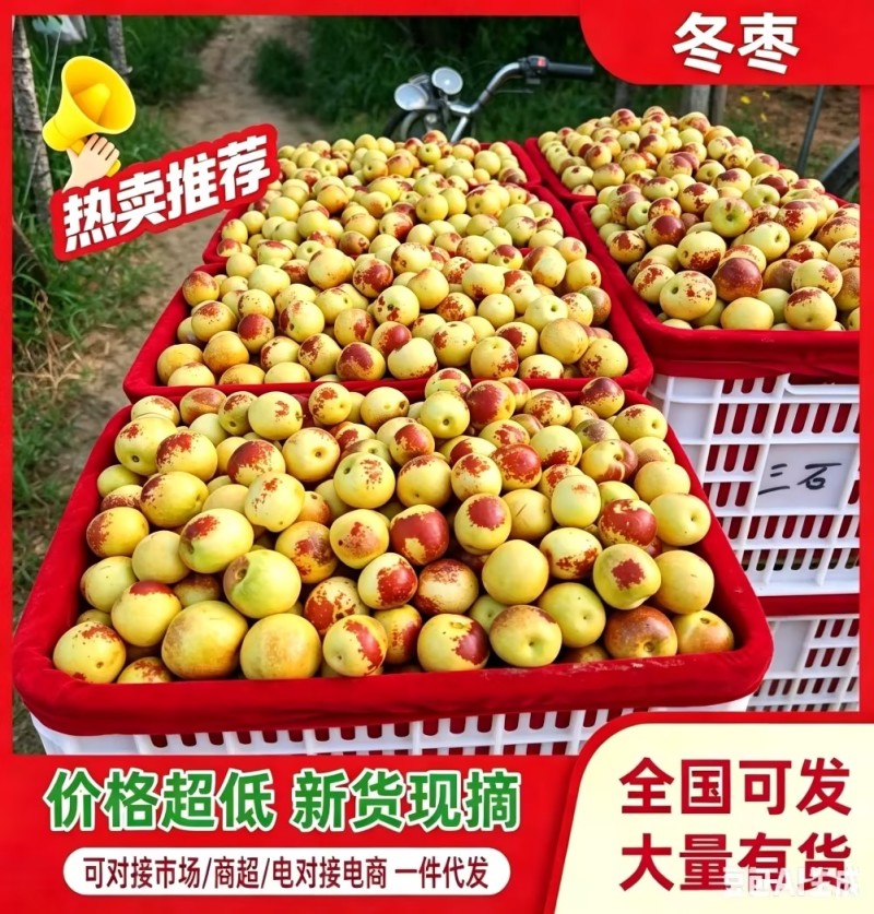 《正宗陕西大荔冬枣》对接电商平台/社区团购/多多仓库