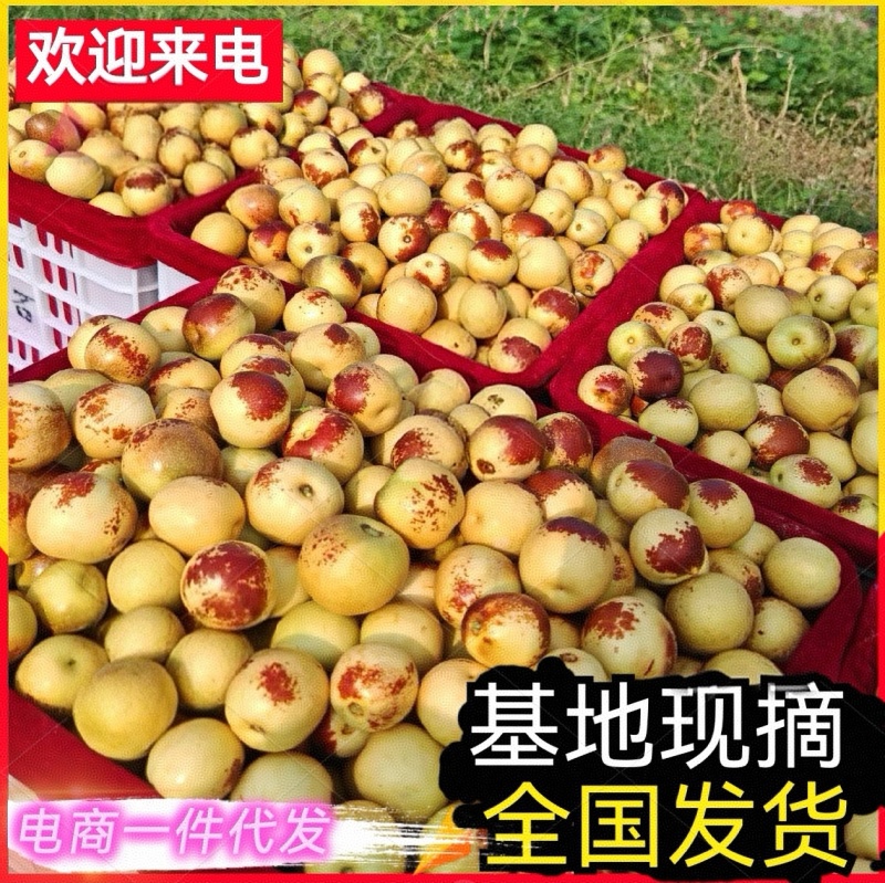 《正宗陕西大荔冬枣》对接电商平台/社区团购/多多仓库