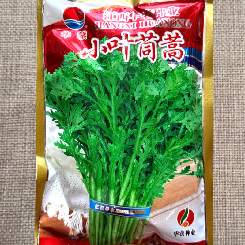 小叶茼蒿种子光杆茼蒿多次采收春季秋四季大田基地皇帝菜种子
