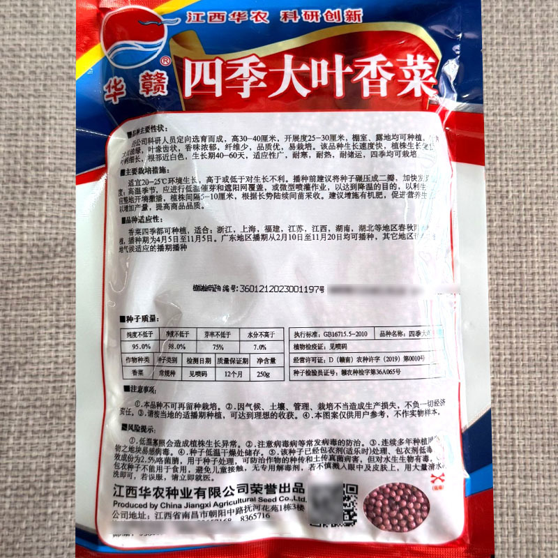 四季大叶香菜种子耐寒耐热耐抽苔四季大田基地蔬菜种子