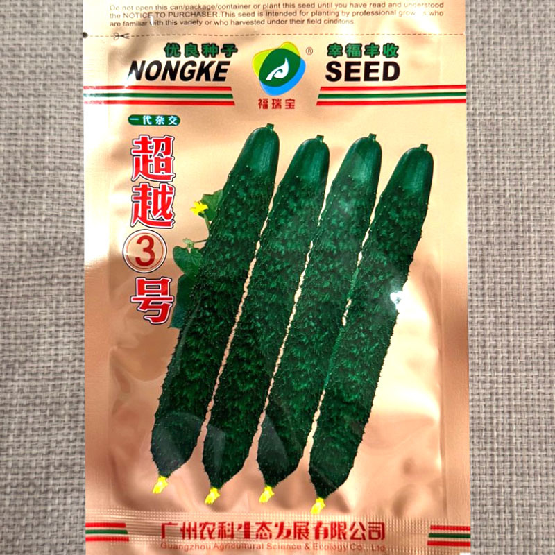 超越3号黄瓜种子早熟短把心腔小果肉淡绿抗病水果黄瓜种子