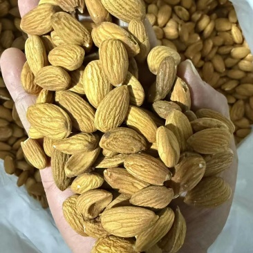 巴旦木仁