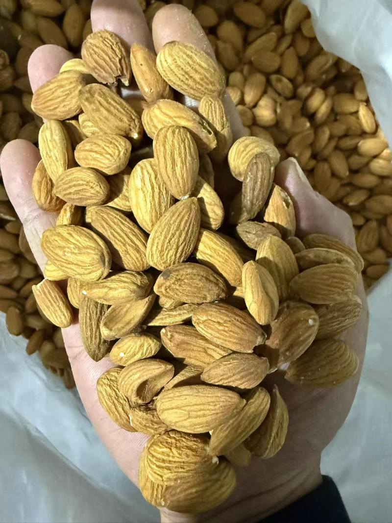 巴旦木仁