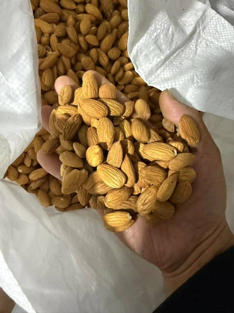 巴旦木仁