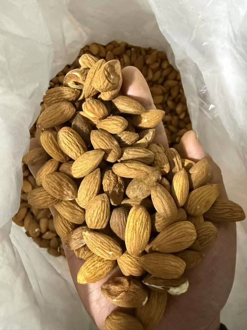 巴旦木仁