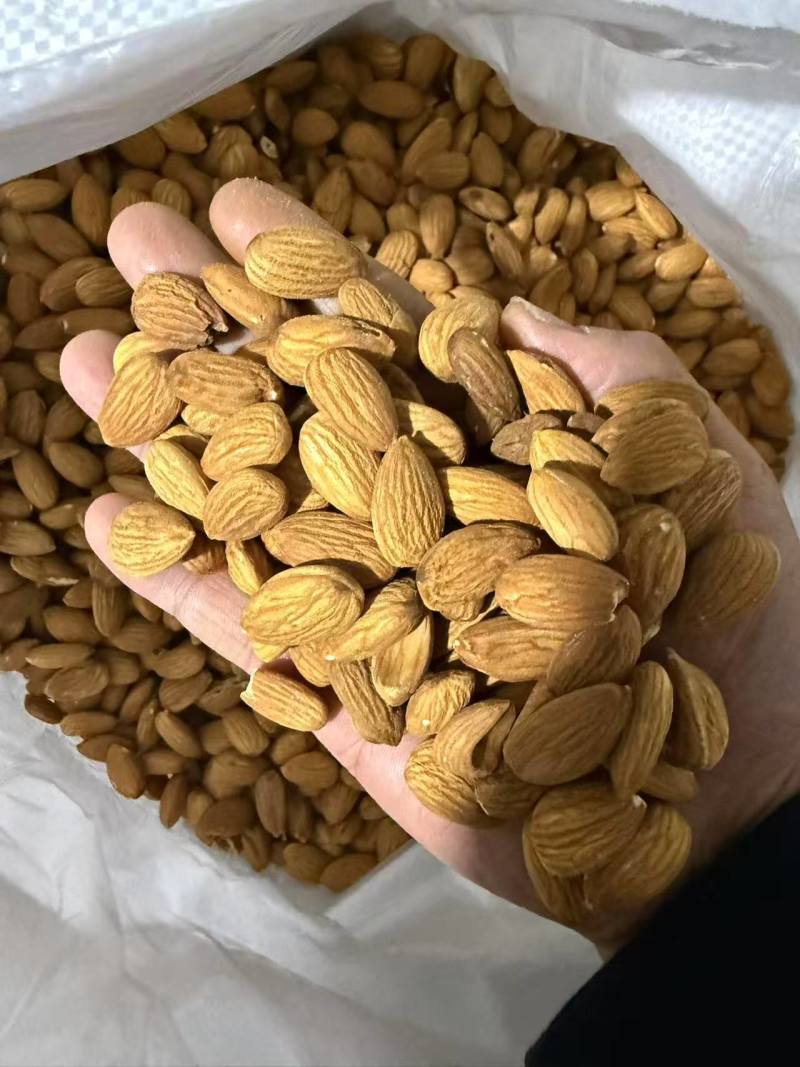 巴旦木仁