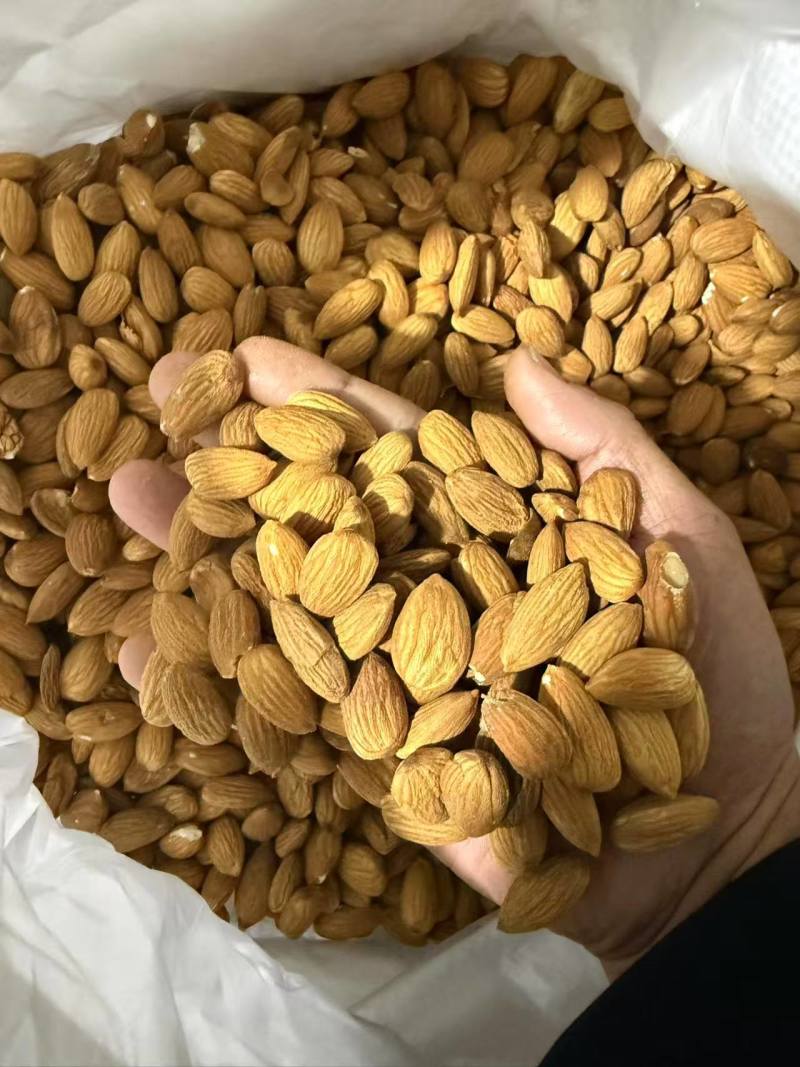 巴旦木仁