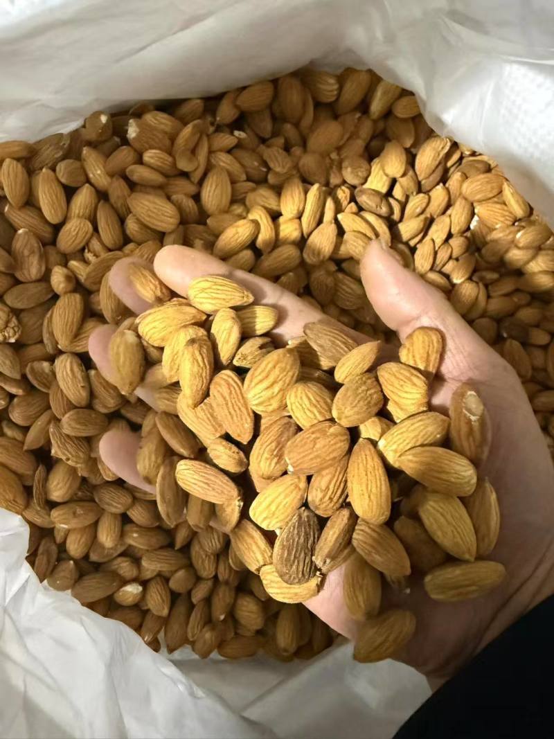 巴旦木仁