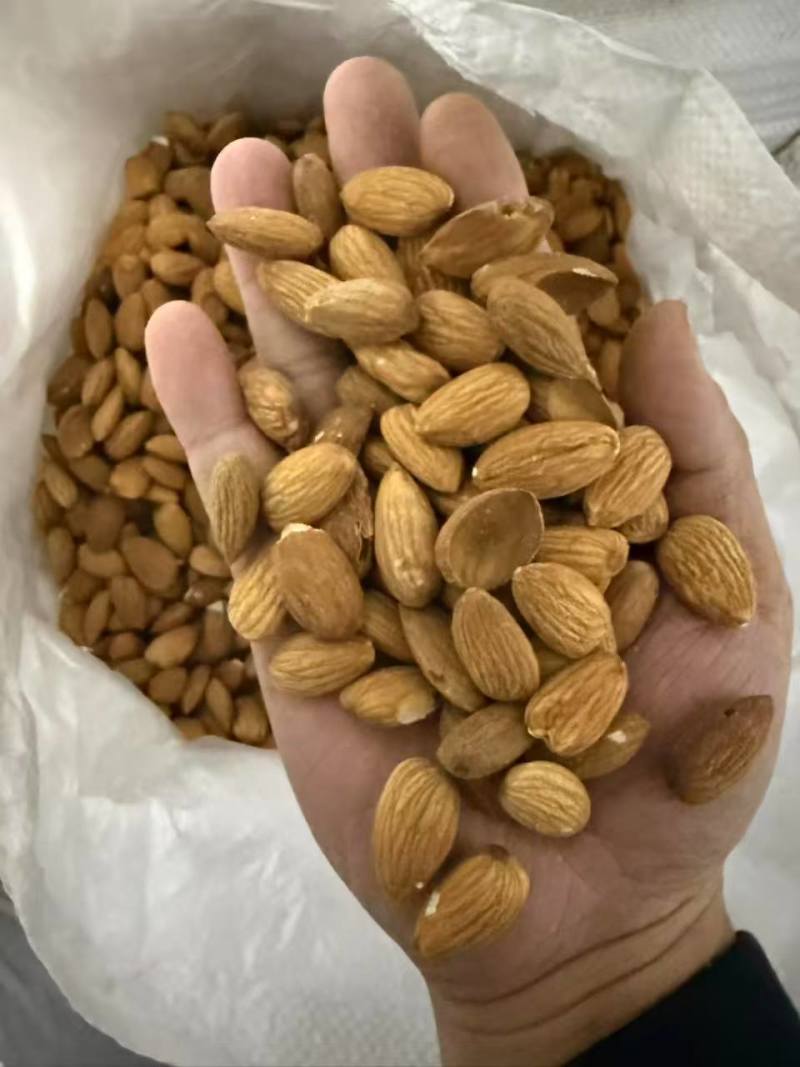 巴旦木仁