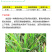 30%苯甲·丙环唑苯醚甲环唑水稻纹枯病作物农用农药杀