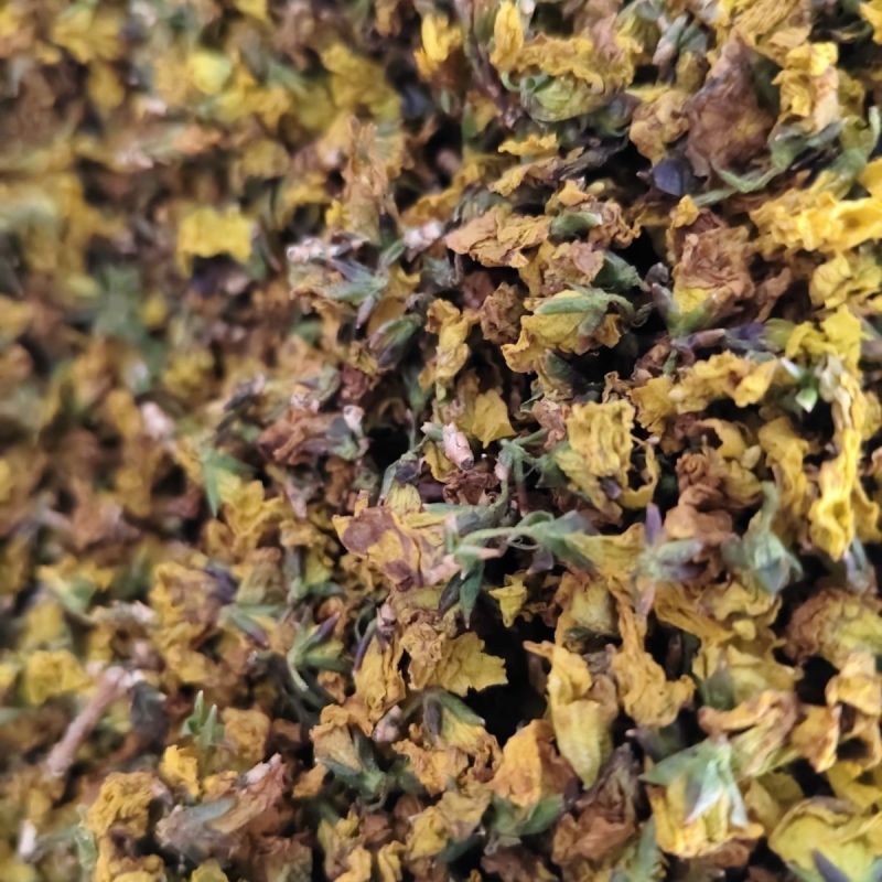 大自然的馈赠野生连翘花干花自然晾晒***