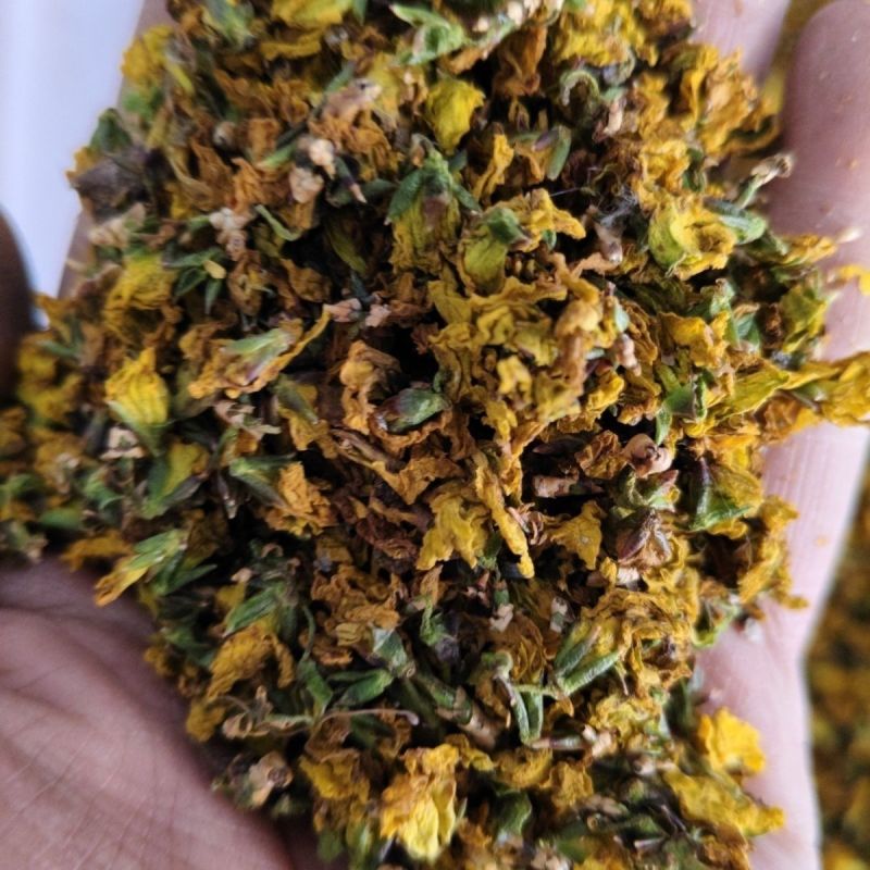 大自然的馈赠野生连翘花干花自然晾晒***